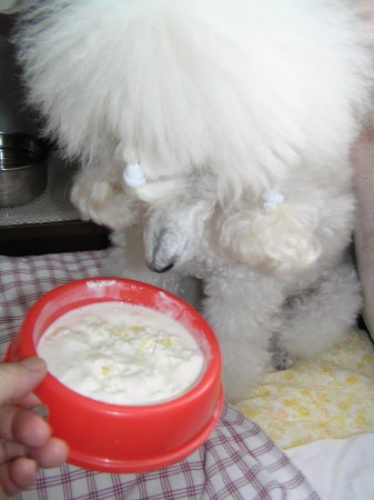 ...a DORLY dostává svačinku: